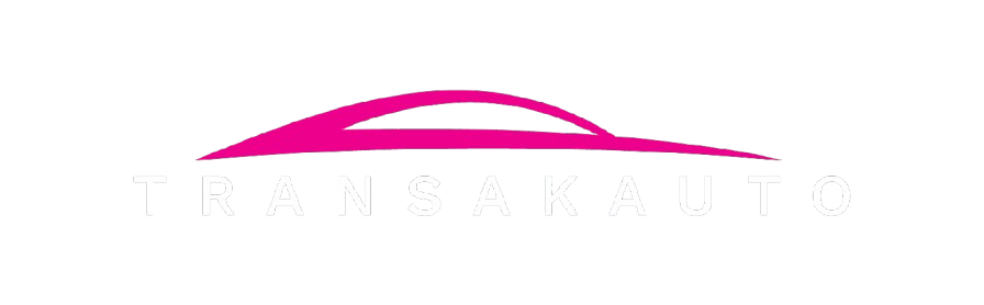 Logo TransakAuto